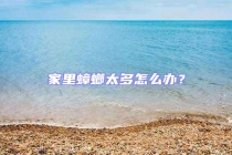 家里蟑螂太多怎么辦？