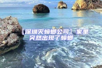 【深圳滅蟑螂公司】家里突然出現(xiàn)了蟑螂