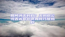 如何消滅螞蟻？滅螞蟻公司告訴你廚房如何巧除螞蟻
