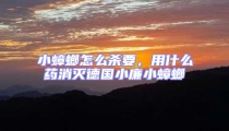 小蟑螂怎么殺要，用什么藥消滅德國(guó)小廉小蟑螂