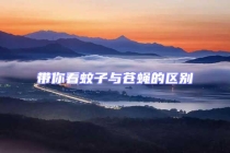 帶你看蚊子與蒼蠅的區別