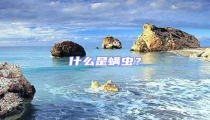 什么是螨蟲？