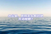 辦公室、醫(yī)院怎么有效地滅治蟑螂？