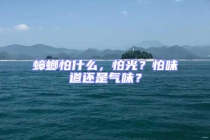 蟑螂怕什么，怕光？怕味道還是氣味？