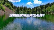 深圳白蟻防治所怎么樣？