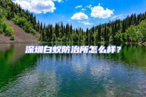 深圳白蟻防治所怎么樣？
