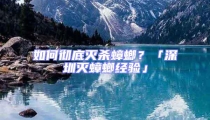 如何徹底滅殺蟑螂？「深圳滅蟑螂經驗」